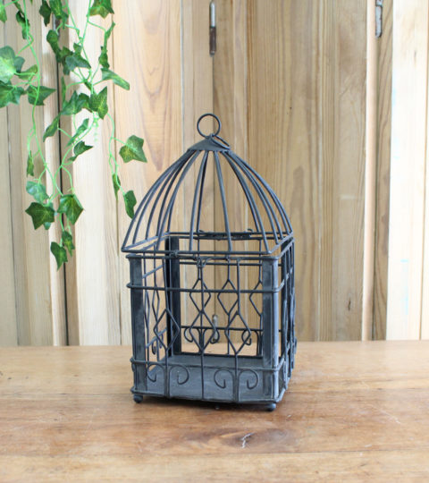 Cage à Oiseau Noire